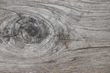 Obraz premium close up of wooden texture background