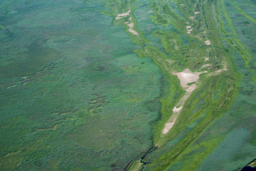 Aerial View over Danube Delta Marshland, Romania