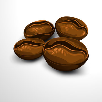coffee bean. vector illustration.