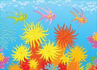 Fototapeta na wymiar Bright fishes swimming in blue water over anemones on a colorful coral reef in a tropical sea, a vector illustration in cartoon style