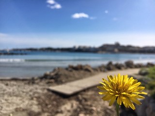 Otranto