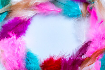 abstract frame of colored feathers