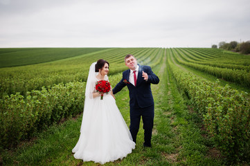 Attractive young wedding couple posing on the blackcurrant field on their wedding day.