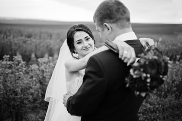 Attractive young wedding couple posing on the blackcurrant field on their wedding day. Black and white photo.