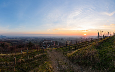 Fototapeta na wymiar A vineyard called Friuli. Rosazzo at sunset.