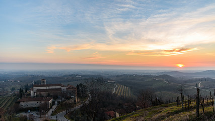 A vineyard called Friuli. Rosazzo at sunset.