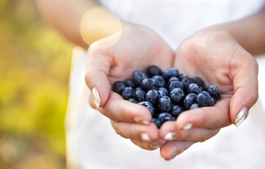 Blueberries in the hands of farmers, women's hands. Fruits, berries, food, nature