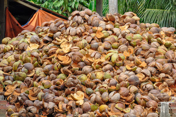 The husks and leaves of coconuts can be used as material to make a variety of products for furnishing and decorating. 