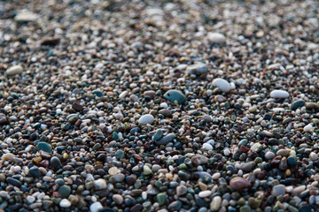 multi-colored pebbles on the beach, washed by waves