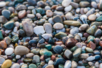 multi-colored pebbles on the beach, washed by waves
