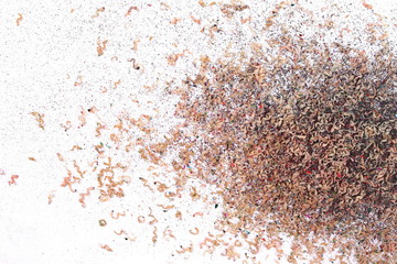 Wooden pencil shavings from sharpener isolated on white background, top view