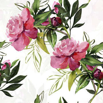 Peonies seamless   pattern,flowers watercolor illustration.
