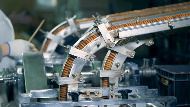 Process of factory production of cookies by a working machine