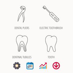 Tooth, electric toothbrush and pliers icons.