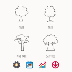 Pine tree, oak-tree icons.