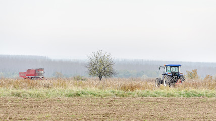 Fototapeta premium Harvester machine to harvest wheat field working