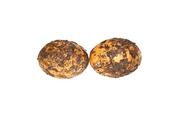 egg isolated on white background