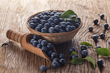 Sloes in bowl