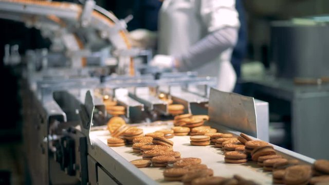 Cookies are going down the conveyor belt of a factory machine with workers in the background 4K.