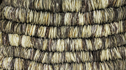 Scallop shells neatly stacked