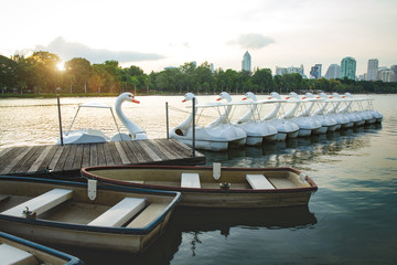 Pathway beside lake with Spinning boat in the green park at the city,Bangkok.
