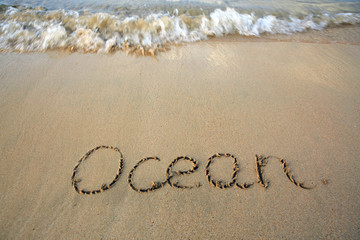 Word Ocean written on the sand near the sea.