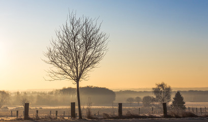 Winter Landschaft im Sonnenaufgang mit B&auml;umen