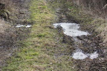 Frozen puddles on the field road.