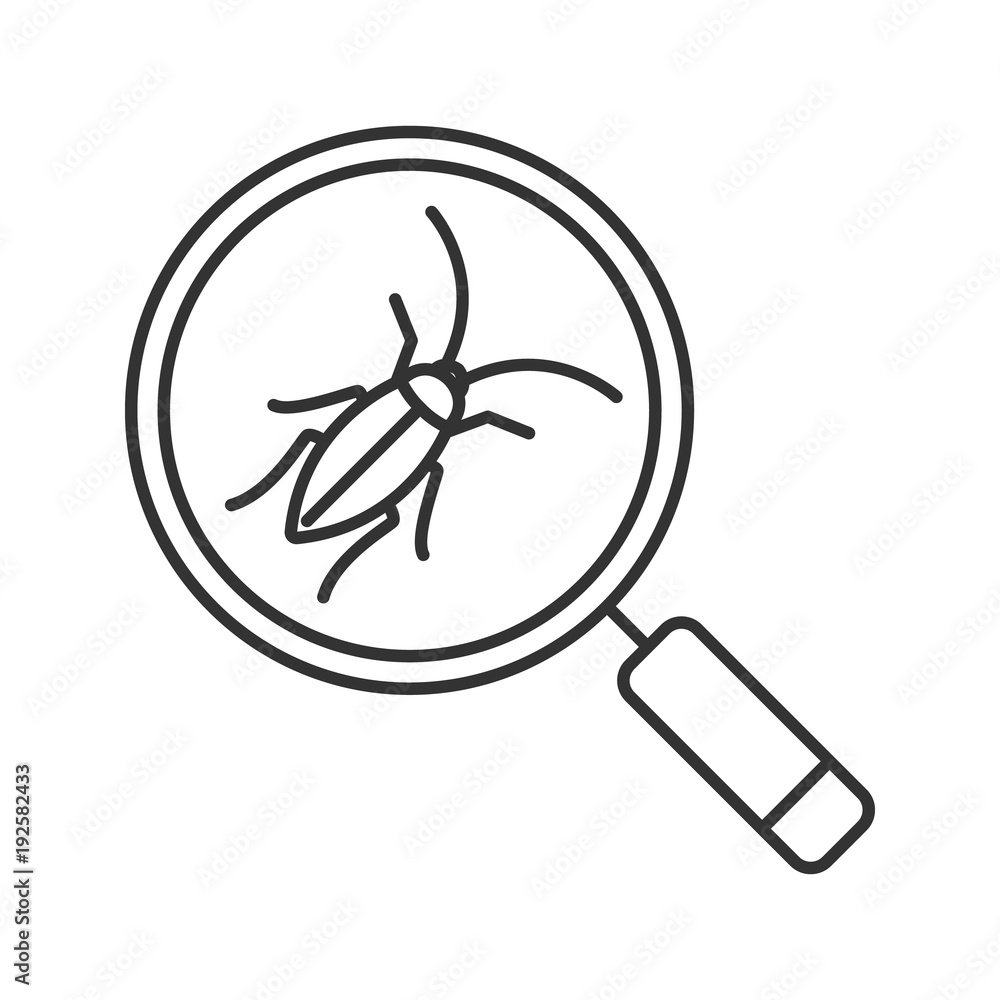 Poster cockroach searching linear icon