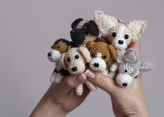 crocheted little dogs in the hands of a man, a labrador, a husky, a French bulldog, a beagle, a papillon.