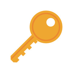 Key security device icon vector illustration graphic design