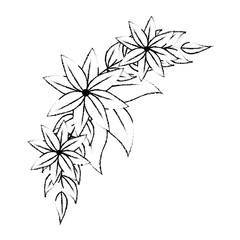 beautiful floral decoration frame vector illustration design