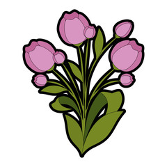 beautiful roses decorative icon vector illustration design