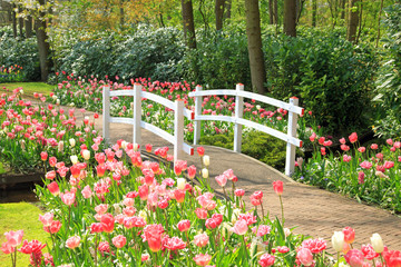 Frühling im Keukenhof in Lisse, Holland © Janina_PLD