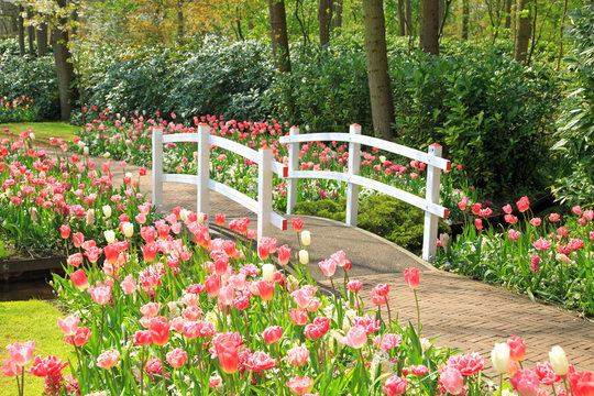 Fr&uuml;hling im Keukenhof in Lisse, Holland