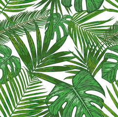 Fototapeta na wymiar Vector seamless pattern of tropical palm leaves. beautiful foliage background of the areca, sago, howea, philodendron in watercolor style