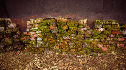 Old bricks covered with moss 