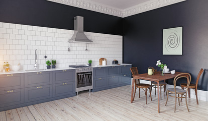 modern kitchen interior.