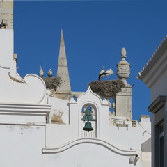 architecture of faro portugal storks overwinter on very many houses