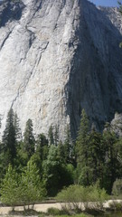 Fototapeta na wymiar Yosemite National Park. CA