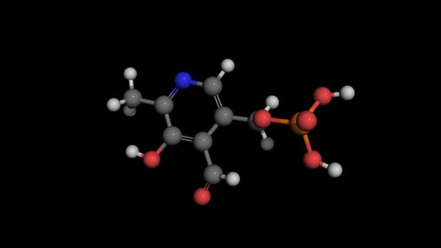 vitamin b6 molecule model rotating. vitamin b6 or pyridoxal phosphate serves as a coenzym in enzyme reactions. It is widely distributed in foods.
