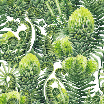 Watercolor prehistoric plants