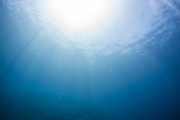 Fototapeta premium Underwater seascape with natural sunlight through water surface and rocks on the seabed.underwater background