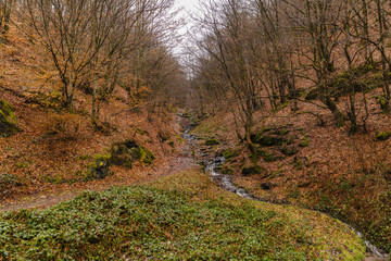 the autumn river in the mountains