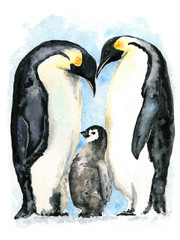 Imperial Penguins Watercolor Illustration