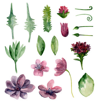 Watercolor purple flowers clipart. Botanical violet clip art set