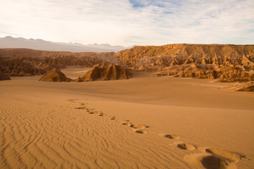 Fototapeta na wymiar Footprints at Valle de la Muerte (Spanish for Death Valley), Los Flamencos National Reserve, San Pedro de Atacama, Atacama desert, Antofagasta Region, Chile, South America