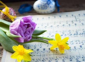 Alte handgeschriebene Musiknoten mit bemaltem Osterei, lila Tulpe und Narzissen, Narcissus...