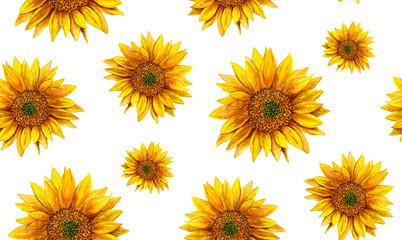 Watercolor sunflower. Rustic pattern. Country yellow flowers background 