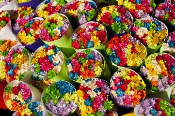 Bucnhes of colorful flowers